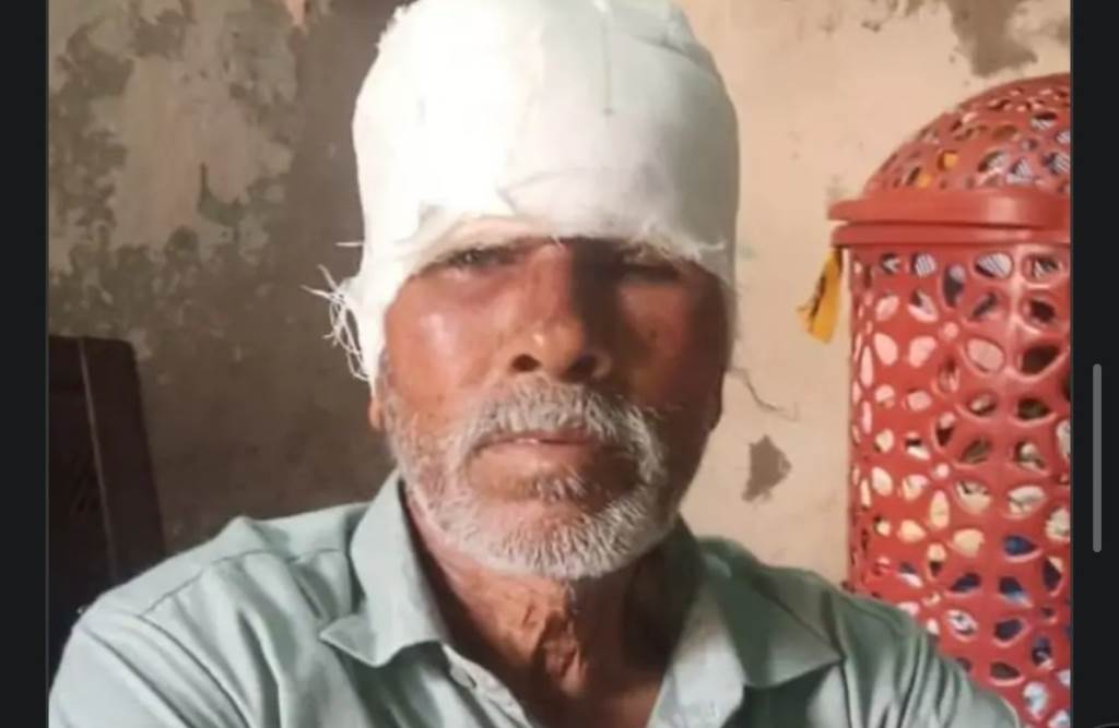 Stray Dog Lunges at Elderly Mans Face Like Death Balinagar Terrified by His Screams